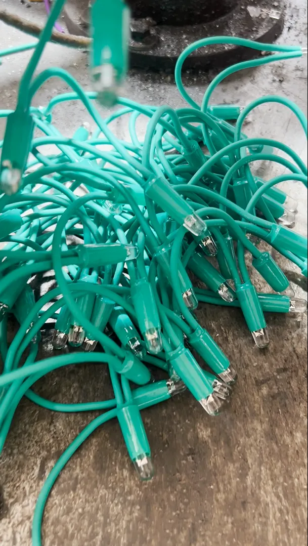 Green LED String Light Production video thumbnail