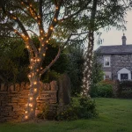 Warm white LED string lights wrapped around trees for garden landscape decoration