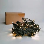 10 m 100 LED rubber cable fairy lights with export carton