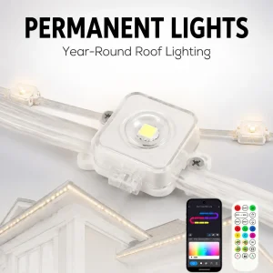 24V RGBIC chasing eave lights with app and remote control