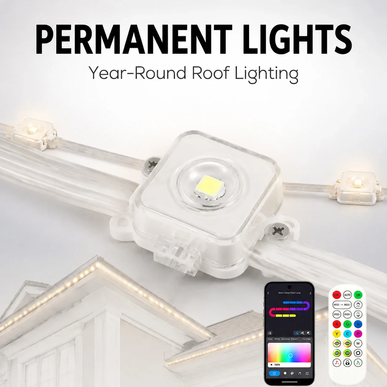 24V RGBIC chasing eave lights with app and remote control