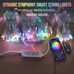 app controlled RGB pixel string lights with phone and remote