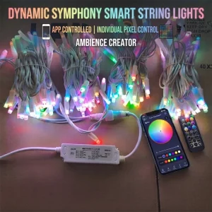 app controlled RGB pixel string lights with phone and remote