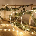 custom OEM outdoor rope light with packaging options