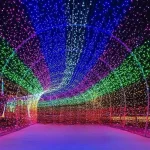 dynamic RGB pixel string light colour effects