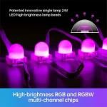 IP67 RGBIC eave light module and white flat PVC cable