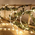 RGB multicolor rope light options