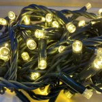 warm white green PVC string lights illuminated