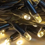 warm white LED string lights on black rubber cable